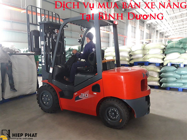 mua-ban-xe-nang-tai-binh-duong-3